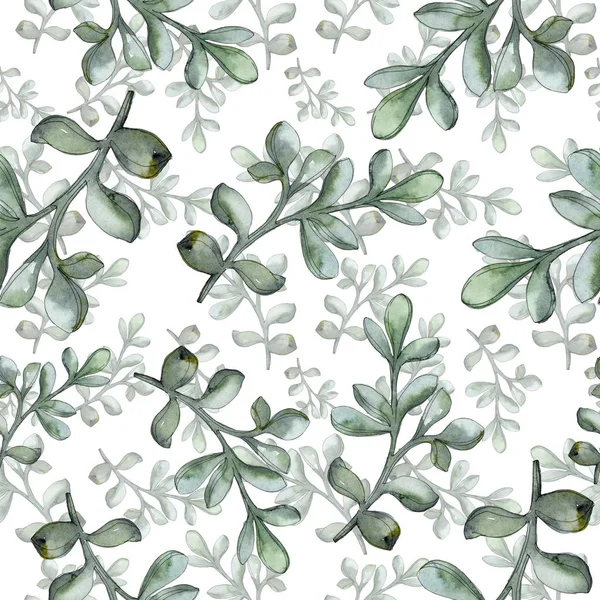 Jungle botanical succulent flower. Watercolor background illustration set. Seamless background pattern. — Stock Photo, Image