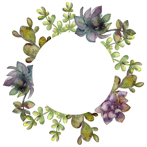 Jungle botanical succulent flower. Watercolor background illustration set. Frame border ornament square. — Stock Photo, Image