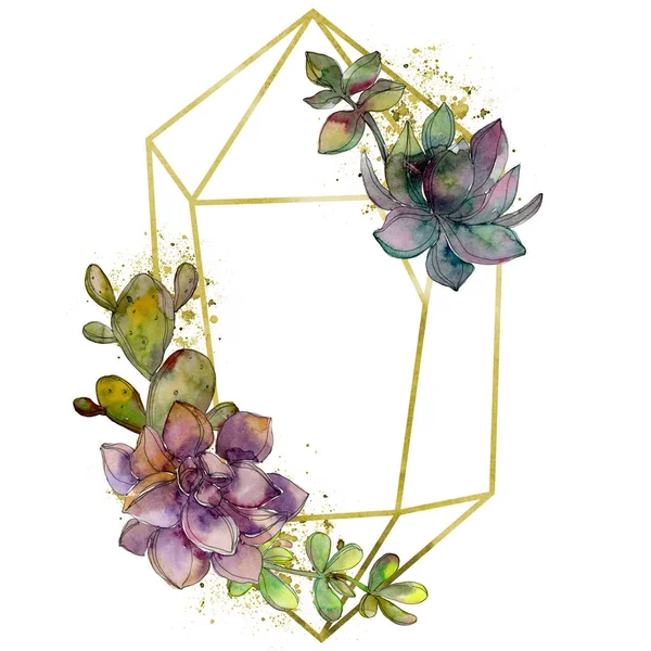 Giungla botanico fiore succulento. Acquerello sfondo illustrazione set. Cornice bordo cristallo ornamento quadrato . — Foto Stock