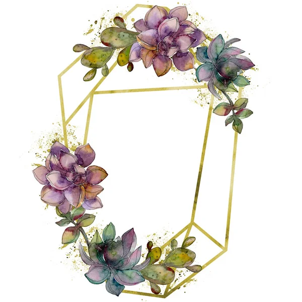 Flor suculenta botânica da selva. Conjunto de ilustração de fundo aquarela. Quadro borda cristal ornamento quadrado . — Fotografia de Stock