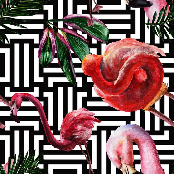 Flamant rose exotique dans une faune isolée. Ensemble d'illustration de fond aquarelle. Modèle de fond sans couture . — Photo