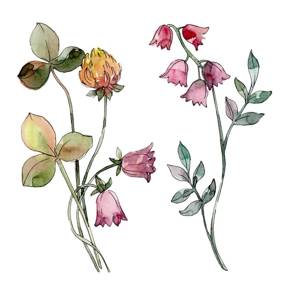 Wildblumen drucken Blumen botanische Blume. Aquarell Hintergrund Set vorhanden. isolierte Strauß Illustration Element. — Stockfoto