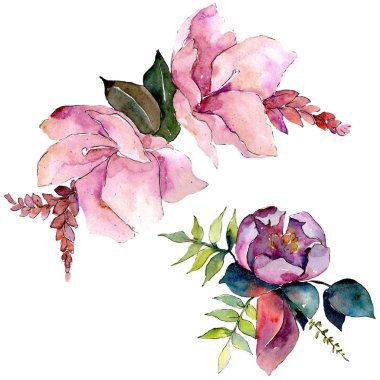 Buket kompozisyon çiçek botanik çiçekler. Suluboya arka plan ayarlamak. İzole buket illüstrasyon öğesi.