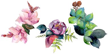 Buket kompozisyon çiçek botanik çiçekler. Suluboya arka plan ayarlamak. İzole buket illüstrasyon öğesi.