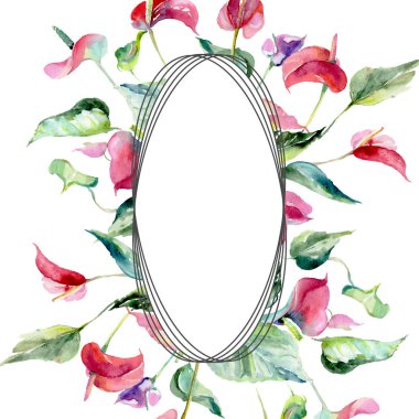 Pembe spatifilyum çiçek botanik çiçekler. Suluboya arka plan illüstrasyon küme. Çerçeve kenarlığı süsleme Meydanı.