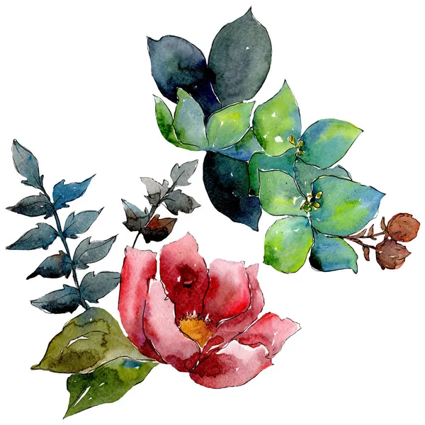 Composição de buquê flores botânicas florais. Conjunto de fundo aquarela. Isolado buquê elemento ilustração . — Fotografia de Stock