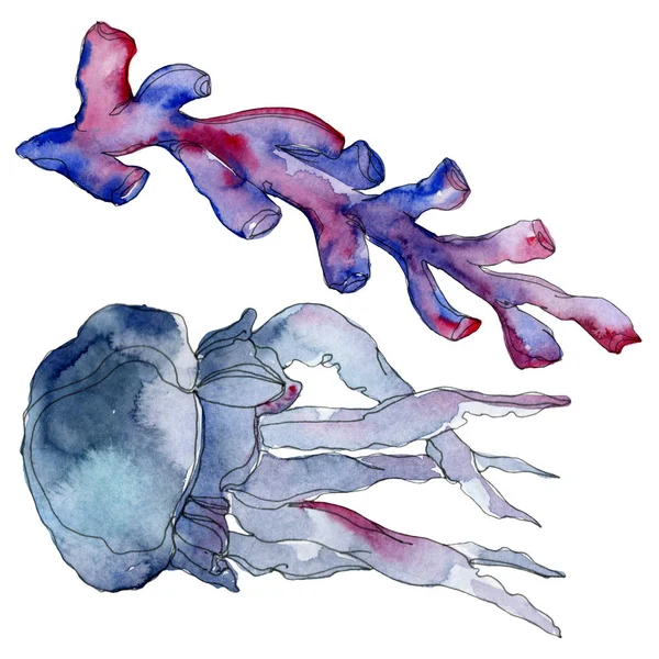 Medusas y arrecife de coral acuático submarino. Planta tropical marina aislada. Acuarela fondo ilustración conjunto . — Foto de Stock