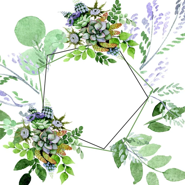 Soczyste bukiet kwiatowy kwiaty botanicznych. Zestaw ilustracji tle akwarela. Ramki granicznej ornament square. — Zdjęcie stockowe