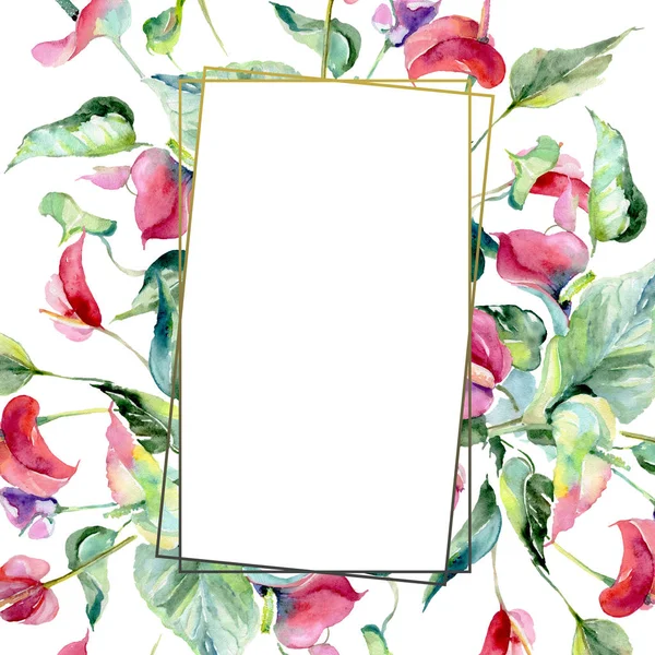 Espatiphyllum rosa flores botânicas florais. Conjunto de ilustração de fundo aquarela. Quadro borda ornamento quadrado . — Fotografia de Stock