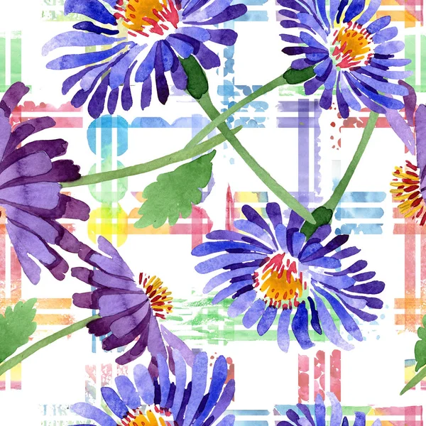 Blue violet asters fleurs botaniques florales. Ensemble d'illustration de fond aquarelle. Modèle de fond sans couture . — Photo