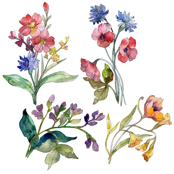 Wildblumenstrauß Florale Botanische Blumen Wilde Frühlingsblume Aquarell Hintergrundillustration Set Aquarell — Stockfoto