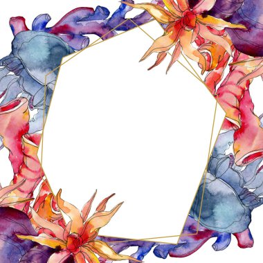 Renkli su doğa mercan kayalığı. Tropikal bitki deniz ve okyanus su hayat öğesi. Suluboya arka plan illüstrasyon küme. Suluboya çizim moda aquarelle. Çerçeve kenarlığı süsleme Meydanı.