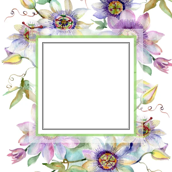 蓝色紫罗兰色花束花卉植物花卉 野生春叶野花分离 水彩插图背景集 水彩画时尚水彩画 框架边框装饰正方形 — 图库照片
