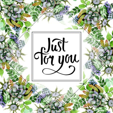 Etli buket çiçek botanik çiçekler. Vahşi bahar yaprak izole kır çiçeği. Suluboya arka plan illüstrasyon küme. Suluboya çizim moda aquarelle izole. Çerçeve kenarlığı süsleme Meydanı.