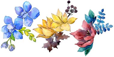 Buket kompozisyon çiçek botanik çiçekler. Vahşi bahar yaprak kır çiçeği. Suluboya arka plan illüstrasyon küme. Suluboya çizim moda aquarelle. İzole buket illüstrasyon öğesi.