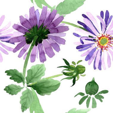 Mavi menekşe Aster botanik çiçek. Vahşi bahar yaprak kır çiçeği. Suluboya resim kümesi. Suluboya çizim moda aquarelle. Sorunsuz arka plan deseni. Kumaş duvar kağıdı yazdırma doku.