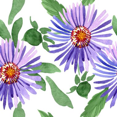 Mavi menekşe Aster botanik çiçek. Vahşi bahar yaprak kır çiçeği. Suluboya resim kümesi. Suluboya çizim moda aquarelle. Sorunsuz arka plan deseni. Kumaş duvar kağıdı yazdırma doku.