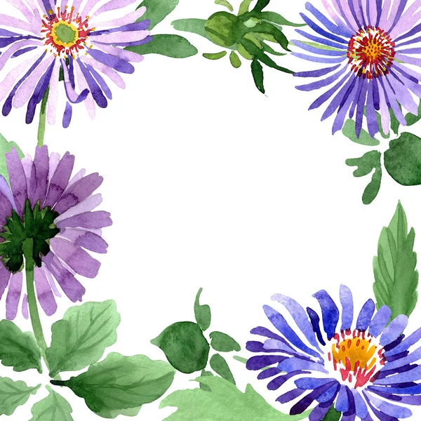 Botaniczny Kwiat Kwiatowy Niebieski Fioletowy Astry Wiosna Dzikiego Wildflower Liść — Zdjęcie stockowe