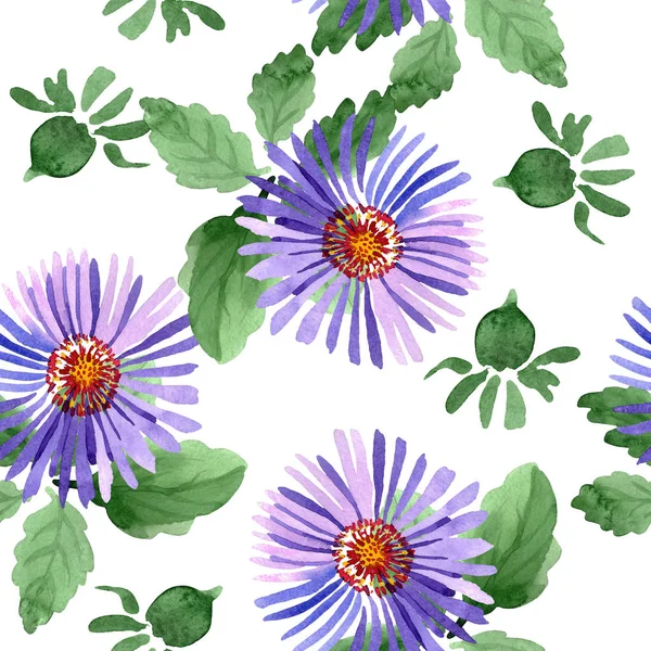Blue violet asters botanical flowers. Wild spring leaf wildflower. Watercolor illustration set. Watercolour drawing fashion aquarelle. Seamless background pattern. Fabric wallpaper print texture.