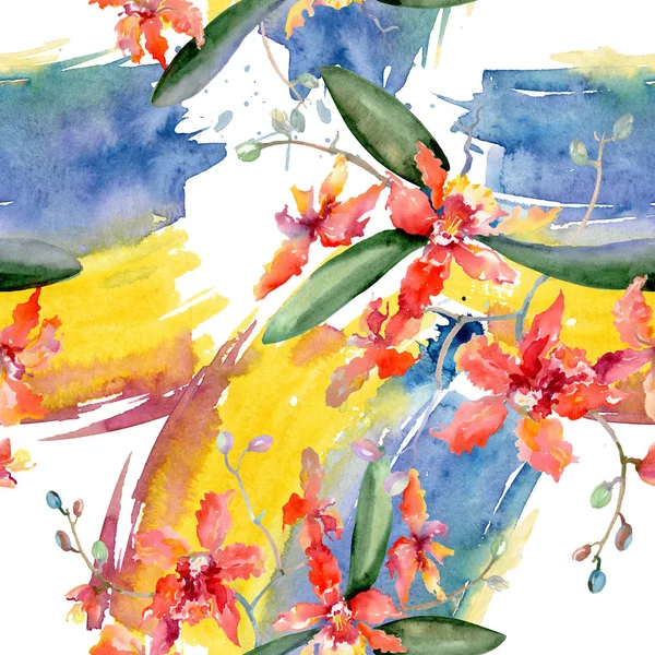 Gren Korall Orkidéer Botaniska Blomma Vilda Våren Leaf Isolerade Akvarell — Stockfoto