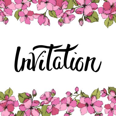 Vektör pembe elma çiçeği botanik çiçek. Vahşi bahar yaprak izole. Oyulmuş mürekkep sanat. Çerçeve kenarlığı süsleme kare beyaz arka plan üzerinde.