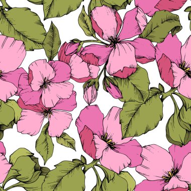 Vektör pembe elma çiçeği botanik çiçek. Vahşi bahar yaprak izole. Oyulmuş mürekkep sanat. Sorunsuz arka plan deseni. Kumaş duvar kağıdı yazdırma doku.