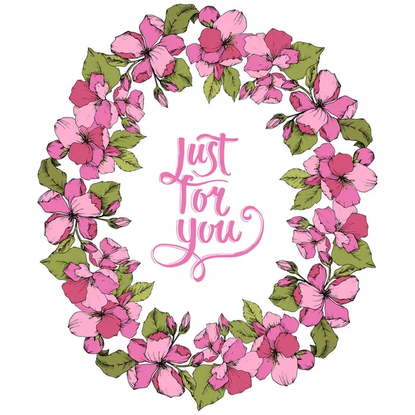 Vektör pembe elma çiçeği botanik çiçek. Vahşi bahar yaprak izole. Oyulmuş mürekkep sanat. Çerçeve kenarlığı süsleme kare beyaz arka plan üzerinde.