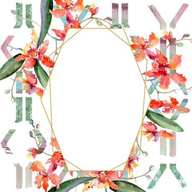 Mercan orkide dalı. Botanik çiçek. Vahşi bahar yaprak izole kır çiçeği. Suluboya arka plan illüstrasyon küme. Suluboya çizim moda aquarelle. Çerçeve kenarlığı süsleme Meydanı.