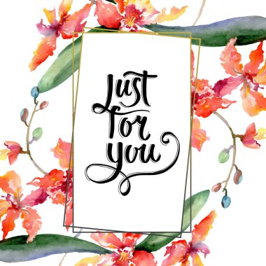 Mercan orkide dalı. Botanik çiçek. Vahşi bahar yaprak izole kır çiçeği. Suluboya arka plan illüstrasyon küme. Suluboya çizim moda aquarelle. Çerçeve kenarlığı süsleme Meydanı.