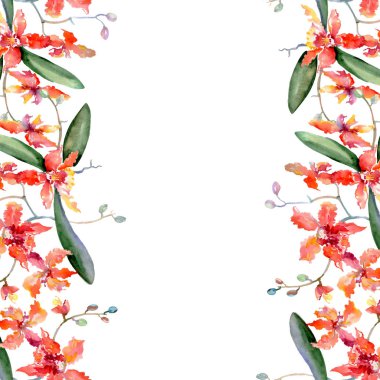 Mercan orkide botanik çiçek dalı. Vahşi bahar yaprak izole. Suluboya resim kümesi. Suluboya çizim moda aquarelle. Sorunsuz arka plan deseni. Kumaş duvar kağıdı yazdırma doku.