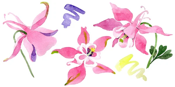 Червона Акваріумна Квіткова Ботанічна Квітка Дикий Весняний Лист Дикої Квітки — стокове фото