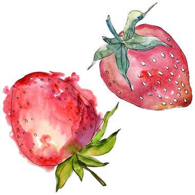 Çilek sağlıklı gıda izole bir suluboya tarzında. Suluboya arka plan illüstrasyon küme. Suluboya çizim moda aquarelle izole. İzole çilek illüstrasyon öğesi.
