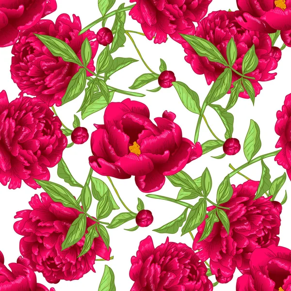 Fleurs Botaniques Florales Pivoine Rouge Vecteur Feuille Sauvage Printemps Fleur — Image vectorielle