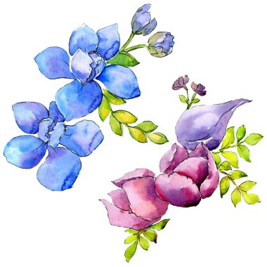 Buket kompozisyon çiçek botanik çiçekler. Vahşi bahar yaprak kır çiçeği. Suluboya arka plan illüstrasyon küme. Suluboya çizim moda aquarelle. İzole buket illüstrasyon öğesi.