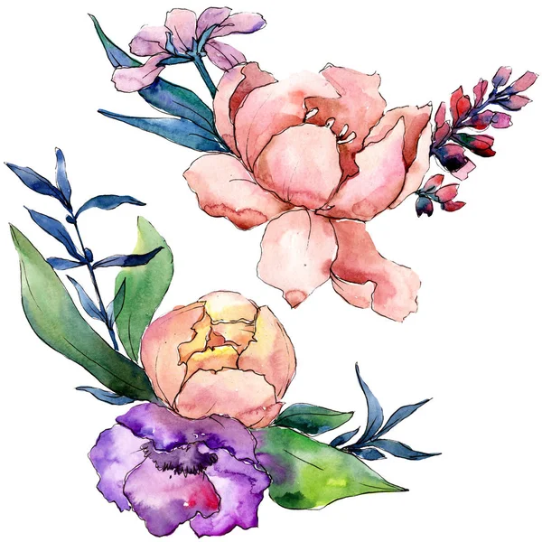 Mazzi Peonia Fiori Botanici Floreali Fiordaliso Selvatico Acquerello Sfondo Illustrazione — Foto Stock