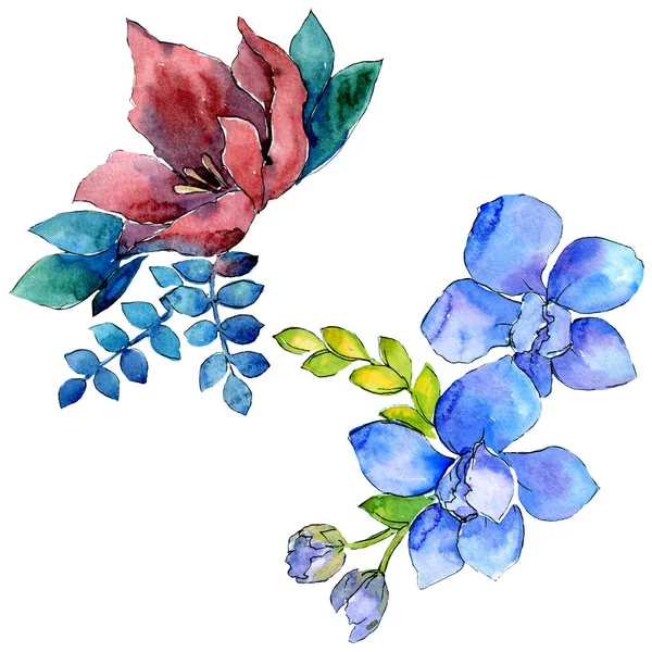 Μπουκέτο Λουλουδιών Βοτανικό Λουλούδια Σύνθεση Άγρια Άνοιξη Φύλλων Wildflower Ακουαρέλα — Φωτογραφία Αρχείου