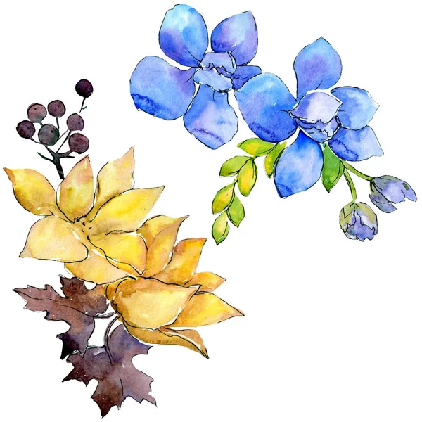 Composição Buquê Flores Botânicas Florais Folha Selvagem Primavera Wildflower Conjunto — Fotografia de Stock