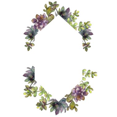 Orman botanik etli çiçek. Vahşi bahar yaprak izole. Suluboya arka plan illüstrasyon küme. Suluboya çizim moda aquarelle izole. Çerçeve kenarlığı kristal süsleme Meydanı.