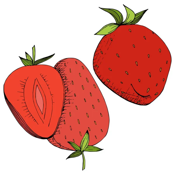 व्हेक्टर स्ट्रॉबेरी निरोगी अन्न. लाल आणि हिरव्या कोरलेली शाई कला. पांढरा पार्श्वभूमीवर पृथक् बेरी स्पष्टीकरण घटक . — स्टॉक व्हेक्टर