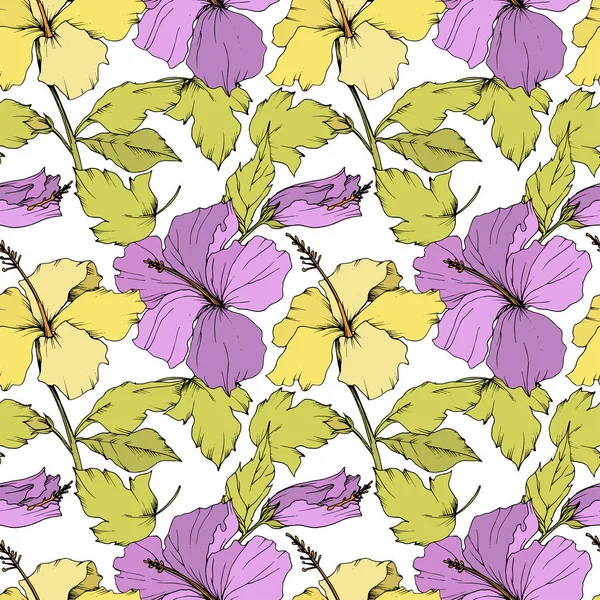 Vector Hibiscus flor botánica floral. Arte de tinta grabada. Patrón de fondo sin costuras. Textura de impresión de papel pintado de tela . — Vector de stock