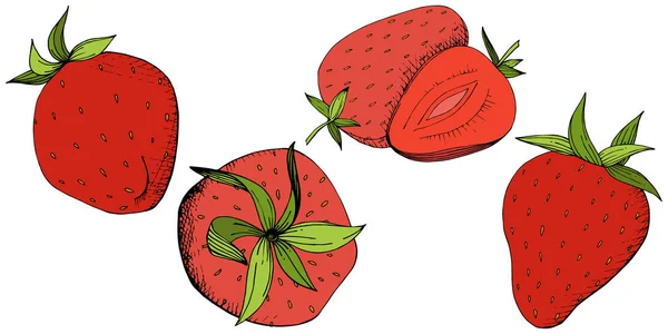 Vector Morango Comida Saudável Tinta Vermelha Verde Gravada Arte Frutas — Vetor de Stock