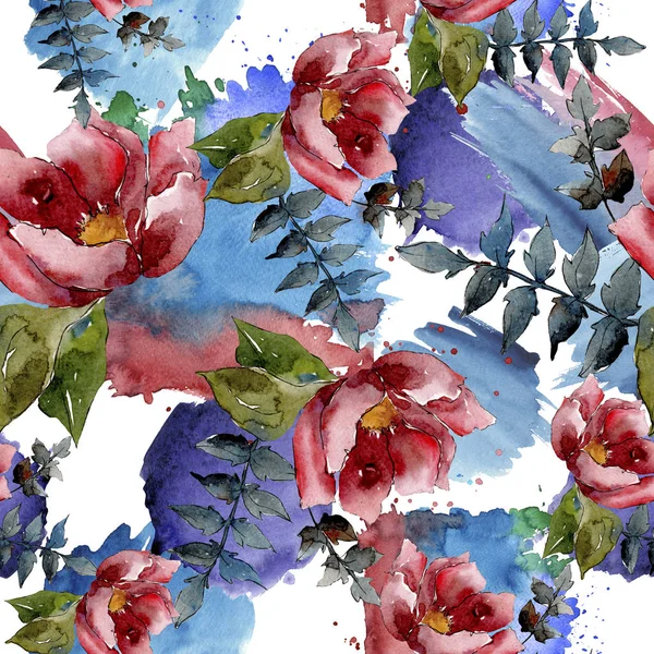 Composição Buquê Flores Botânicas Folha Primavera Selvagem Isolada Conjunto Ilustrações — Fotografia de Stock