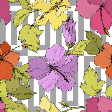 Vektör Hibiscus çiçek botanik çiçek. Egzotik tropik hawaiian yaz. Beyaz arka plan üzerinde oyulmuş mürekkep sanat. Sorunsuz arka plan deseni. Kumaş duvar kağıdı yazdırma doku.