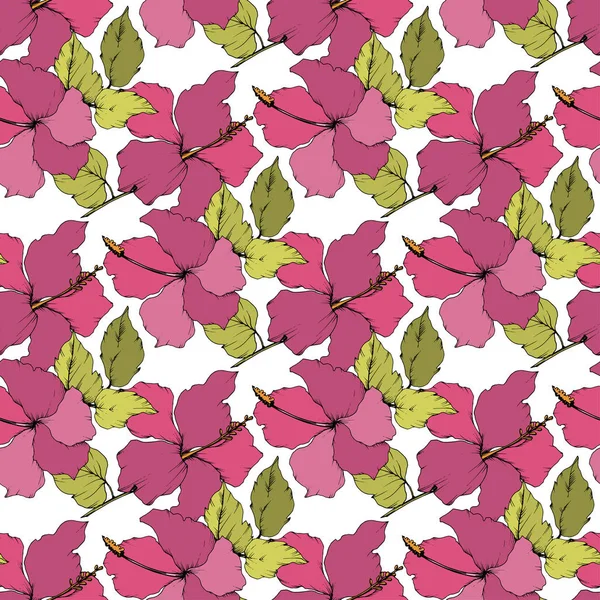 Vector Hibiscus Flor Botánica Floral Verano Hawaiano Tropical Exótico Tinta — Vector de stock