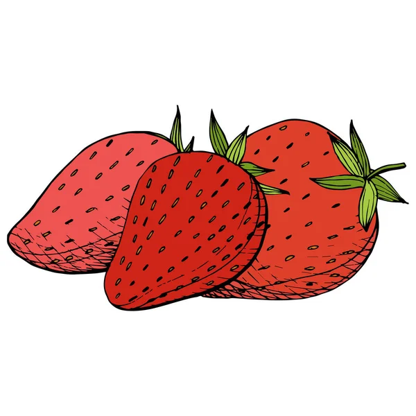 Vector Fraise Alimentation Saine Encre Gravée Rouge Verte Fruits Frais — Image vectorielle