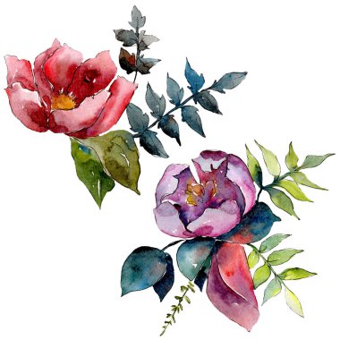Buket kompozisyon çiçek botanik çiçekler. Vahşi bahar yaprak izole kır çiçeği. Suluboya arka plan ayarlamak. Suluboya çizim moda aquarelle. İzole buket illüstrasyon öğesi.