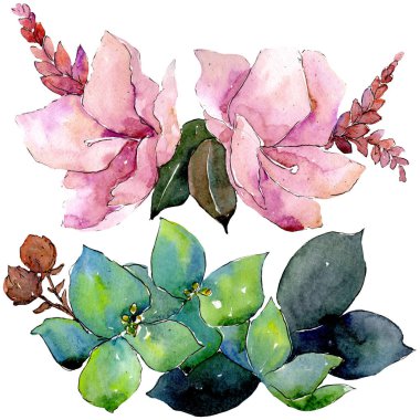 Buket kompozisyon çiçek botanik çiçekler. Vahşi bahar yaprak izole kır çiçeği. Suluboya arka plan ayarlamak. Suluboya çizim moda aquarelle. İzole buket illüstrasyon öğesi.