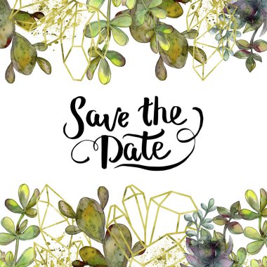 Orman botanik etli çiçek. Vahşi bahar yaprak izole. Suluboya arka plan illüstrasyon küme. Suluboya çizim moda aquarelle izole. Çerçeve kenarlığı kristal süsleme Meydanı.