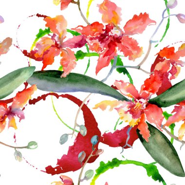 Mercan orkide botanik çiçek dalı. Vahşi bahar yaprak izole. Suluboya resim kümesi. Suluboya çizim moda aquarelle. Sorunsuz arka plan deseni. Kumaş duvar kağıdı yazdırma doku.