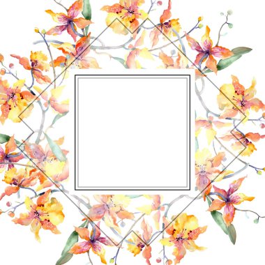 Sarı orkide dalı. Botanik çiçek çiçekler. Vahşi bahar yaprak izole kır çiçeği. Suluboya arka plan illüstrasyon küme. Suluboya çizim moda aquarelle. Çerçeve kenarlığı süsleme Meydanı.